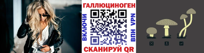 хочу наркоту  Апшеронск  Псилоцибиновые грибы Psilocybine cubensis 